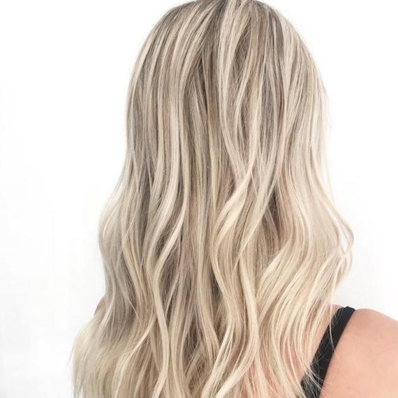 SHAMPOOCUBRE CANAS MAXI PLUS + OBSEQUIO